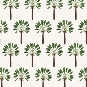 RASONE ARECA