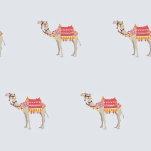 RASONE CAMELUS